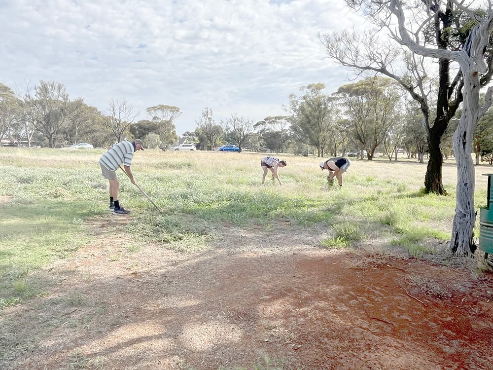Golfers Beat the Bindii post image