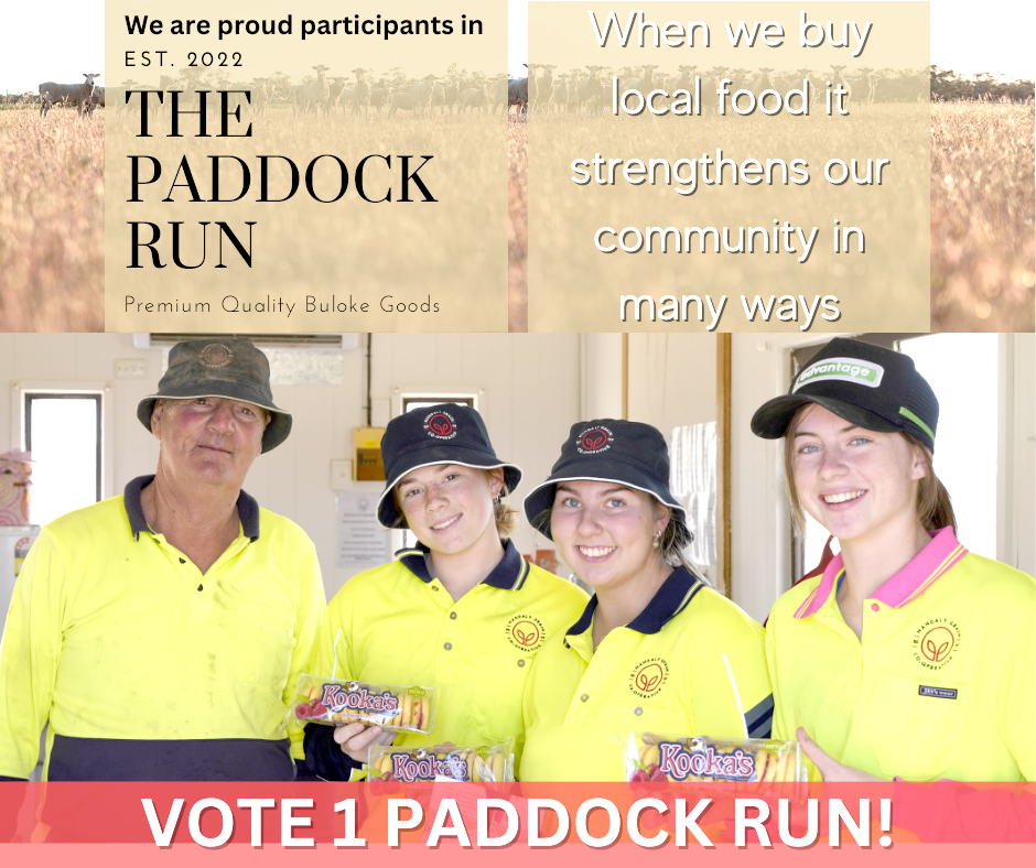 Vote for Our Community: Buloke’s Paddock Run post image