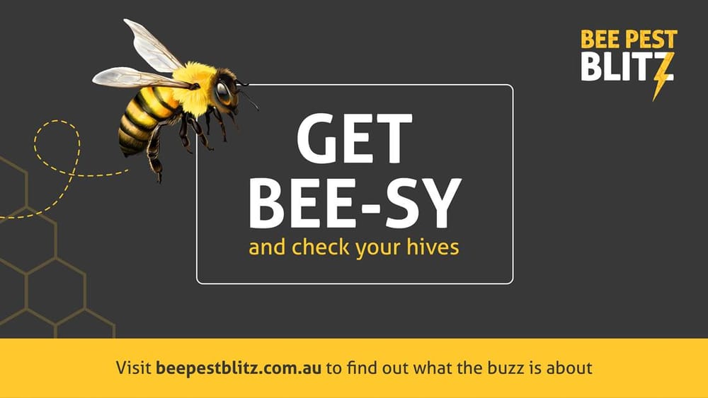 It’s Time for a Honey Bee Check-up post image