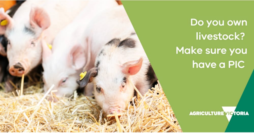 Property Identification Code (PIC) — Get Yours Now post image