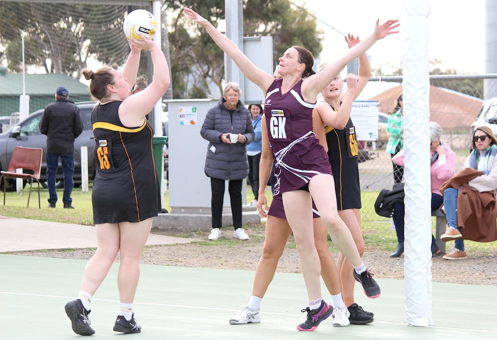 Netball at Nullawil post image