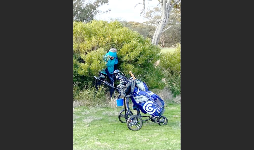 Too Good to Miss post image