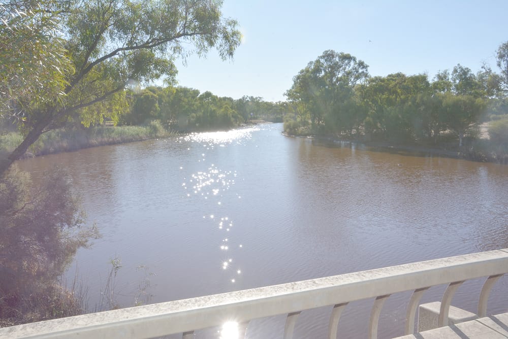 Wetlands Closed to Hunting post image