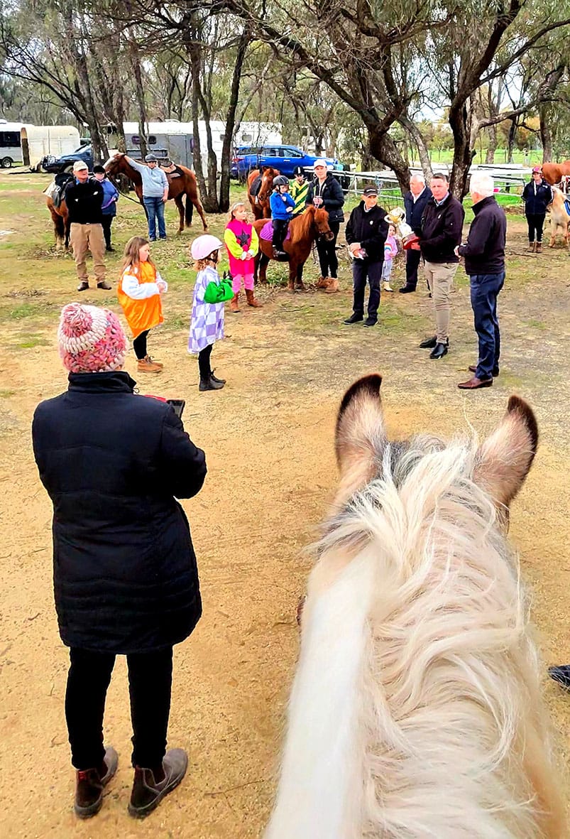 Melbourne Cup Calls in at Donald – Welcome from Ponies and People post image