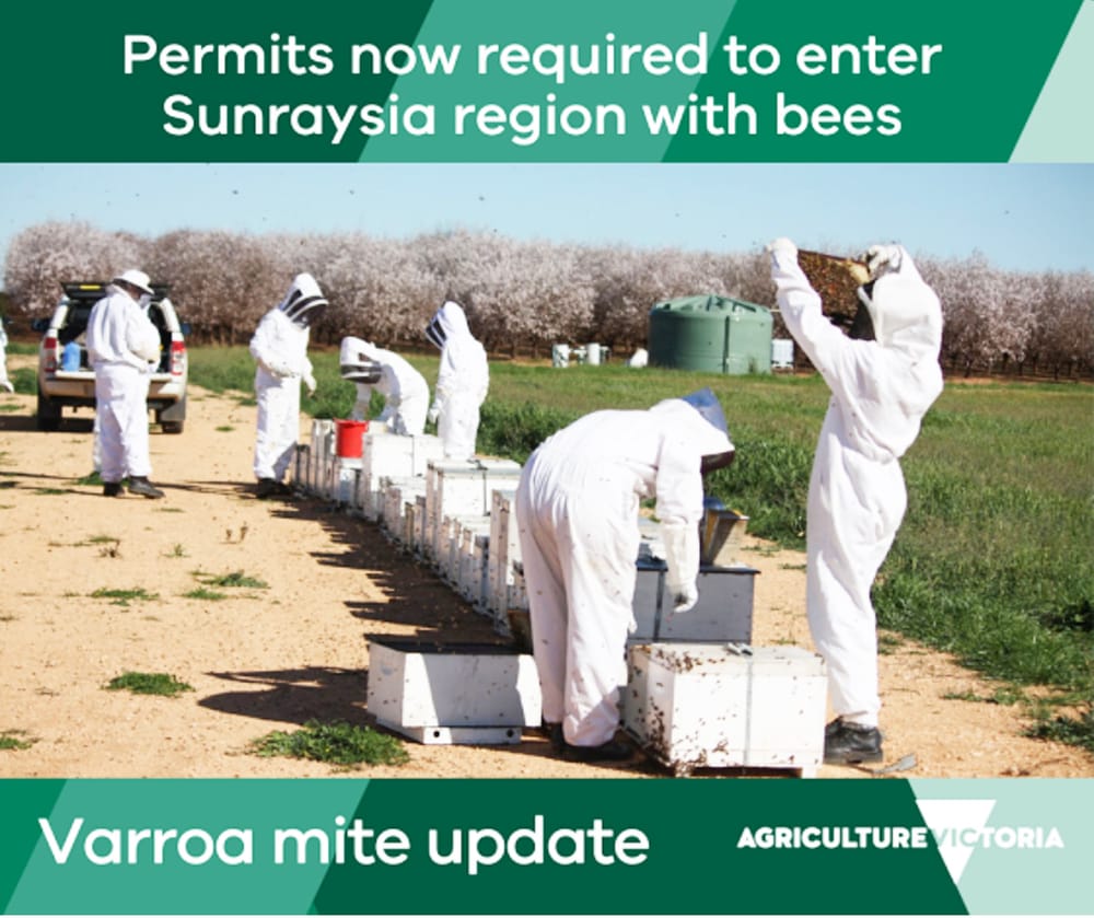 Safeguards in Place to Protect Victoria’s Bees post image