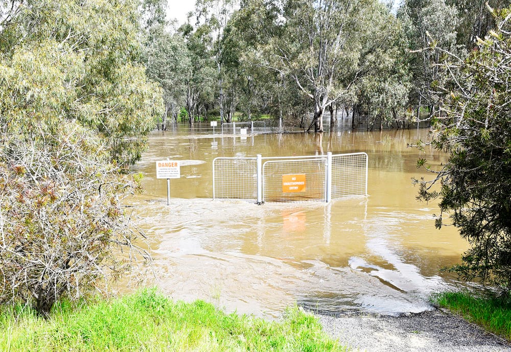 Avoca Rising post image