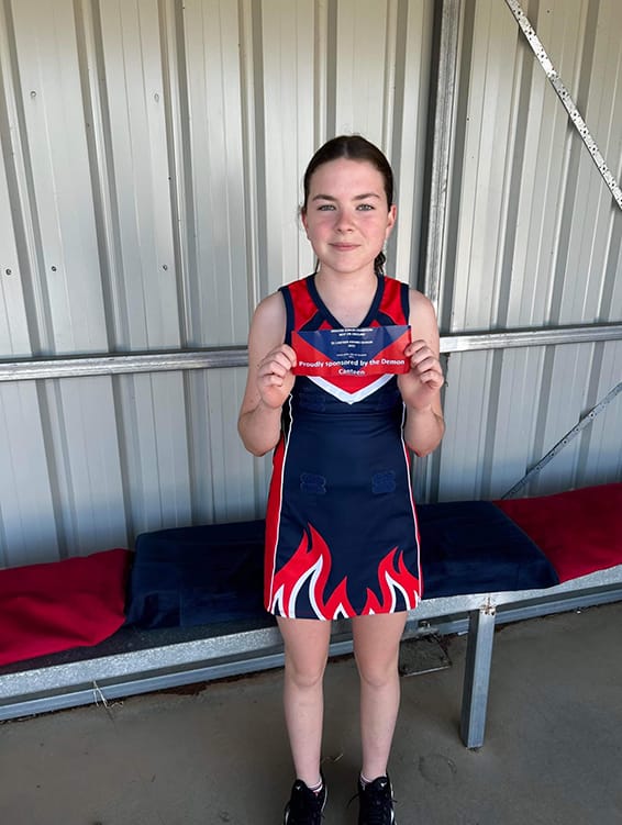 Demon Diary post image