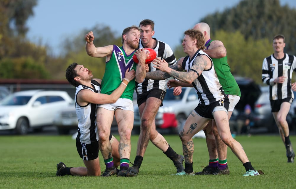 Bulls Climb to the Top post image