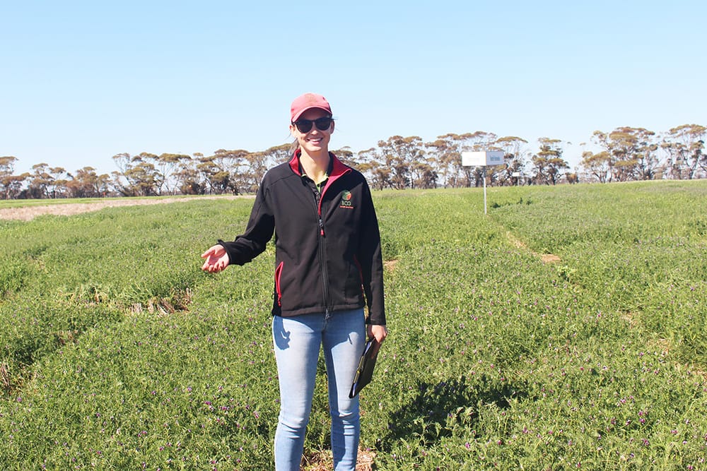 BCG Researchers Eager to Connect at Main Field Day post image