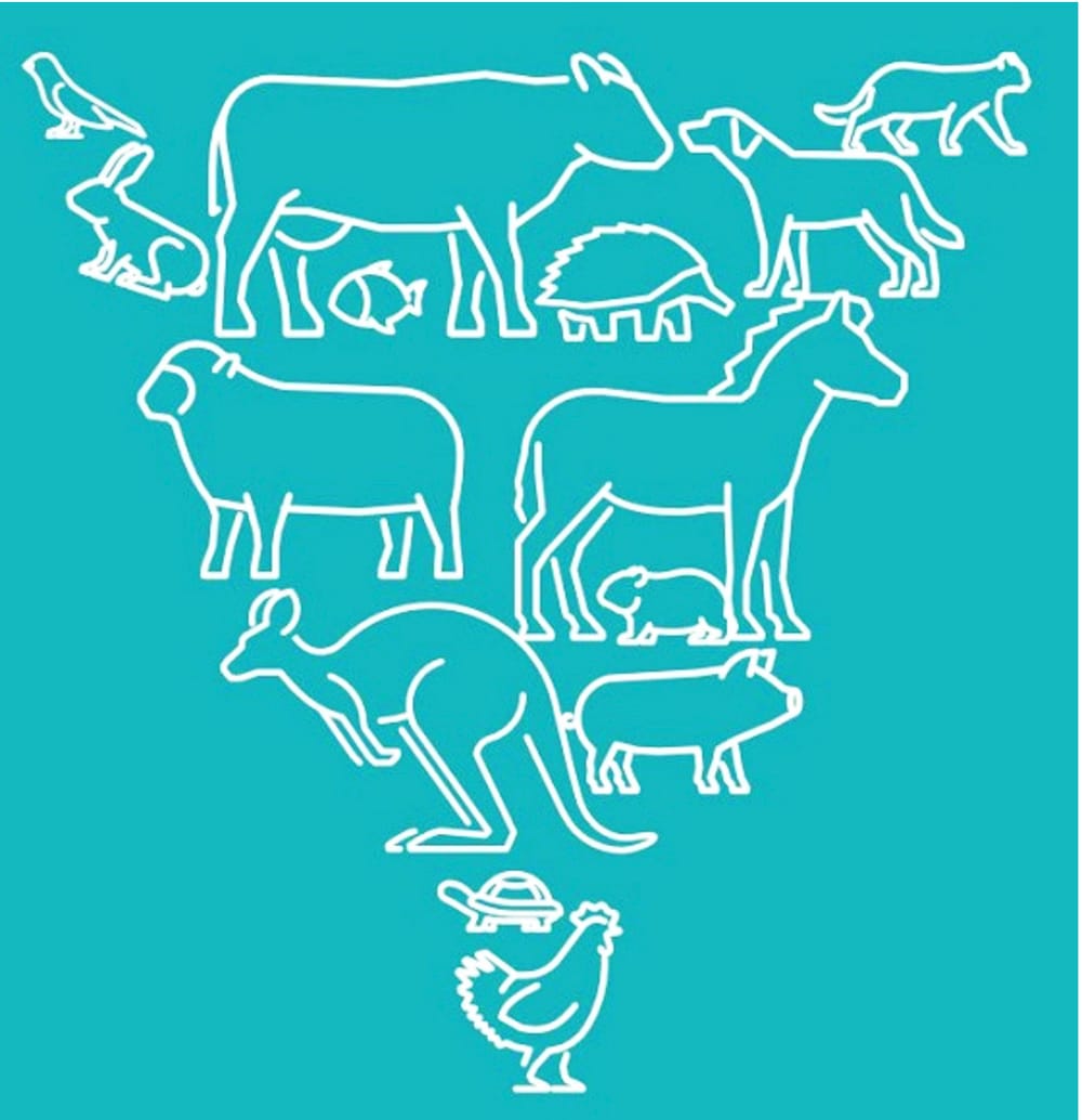 Have Your Say on Animal Welfare Act post image