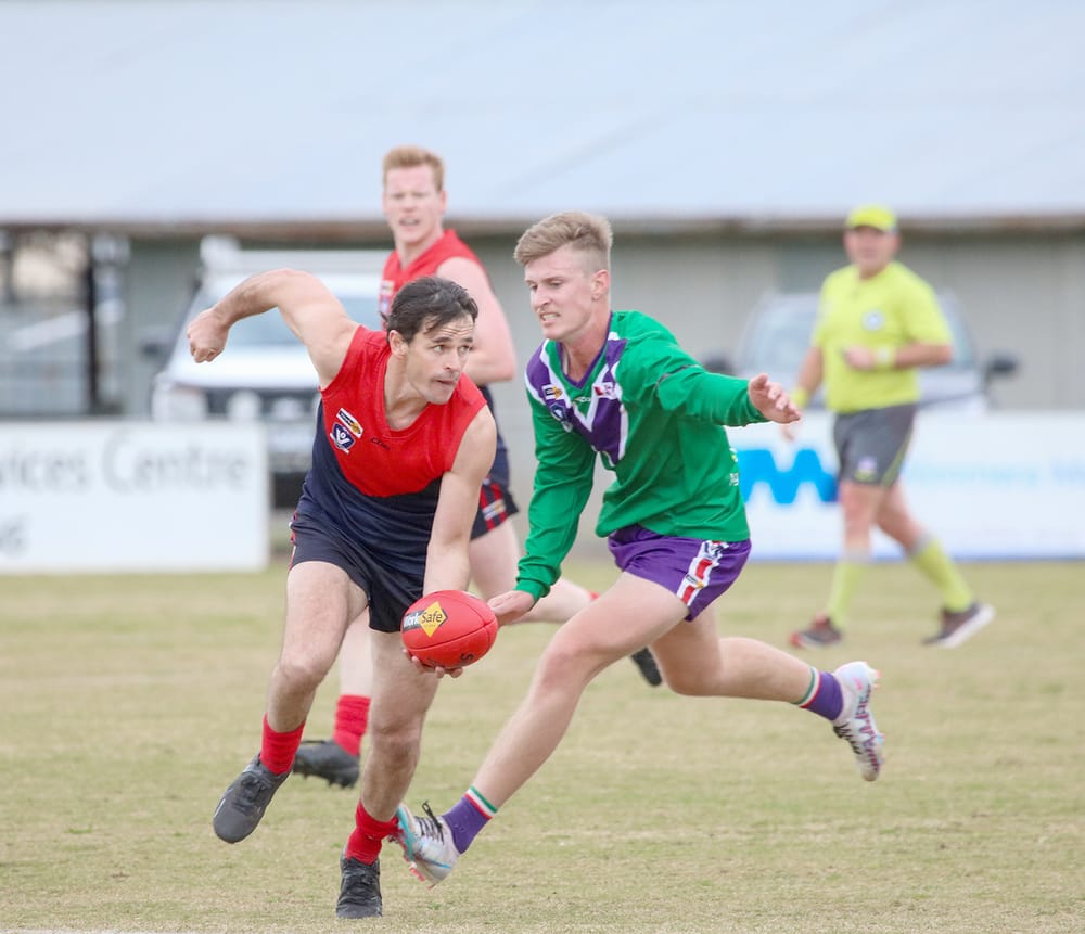 Bulls Keep Rolling On post image