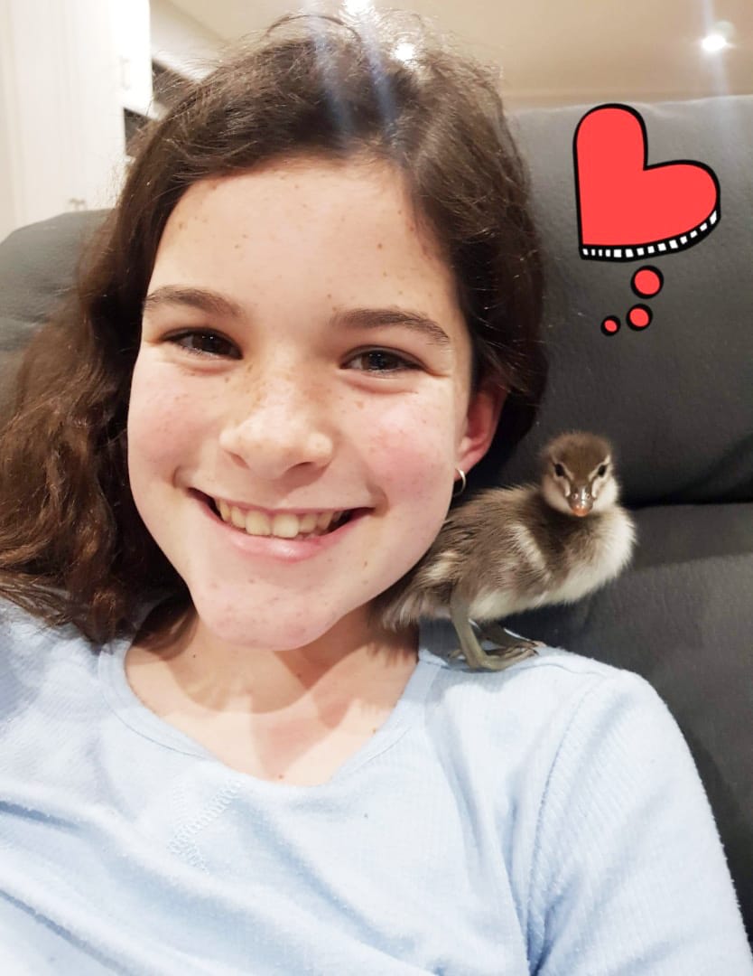 Milla Becomes “Mother Duck” post image