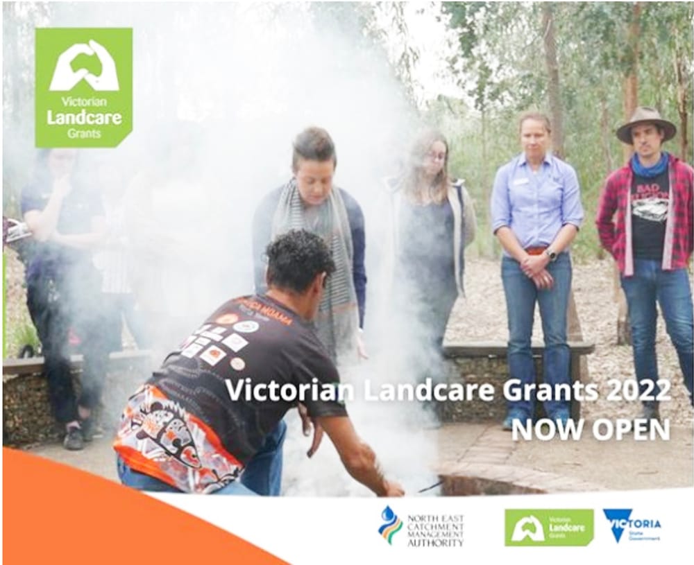 Victorian Landcare Grants Now Open post image
