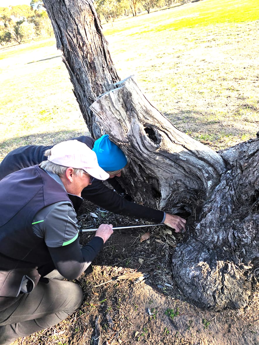 Birchip Golf Tournament post image