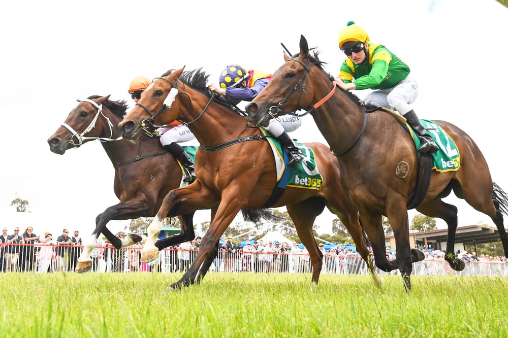 A Gift Repaid With Interest post image