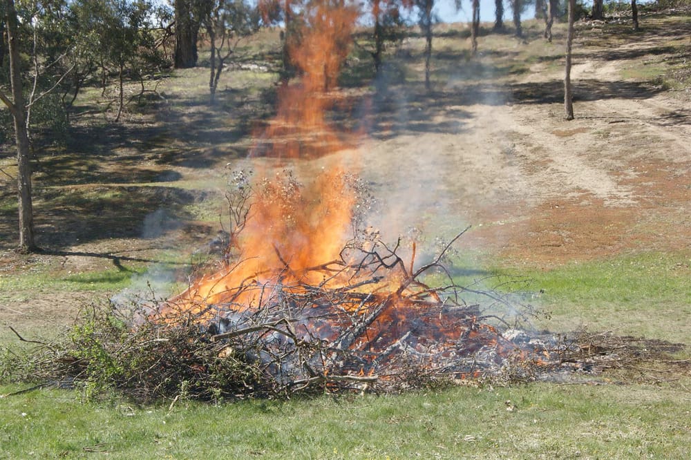 Hefty Penalties for Escaped Burn-offs post image