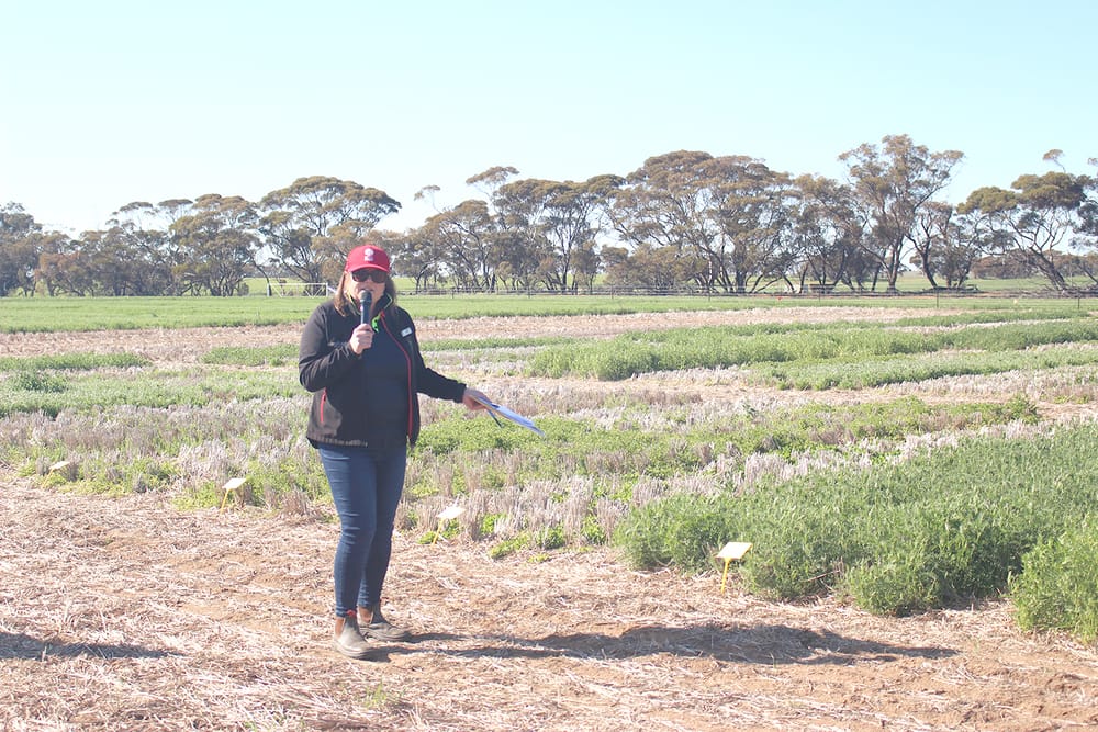 How to Meet Central Hay Market Demand post image