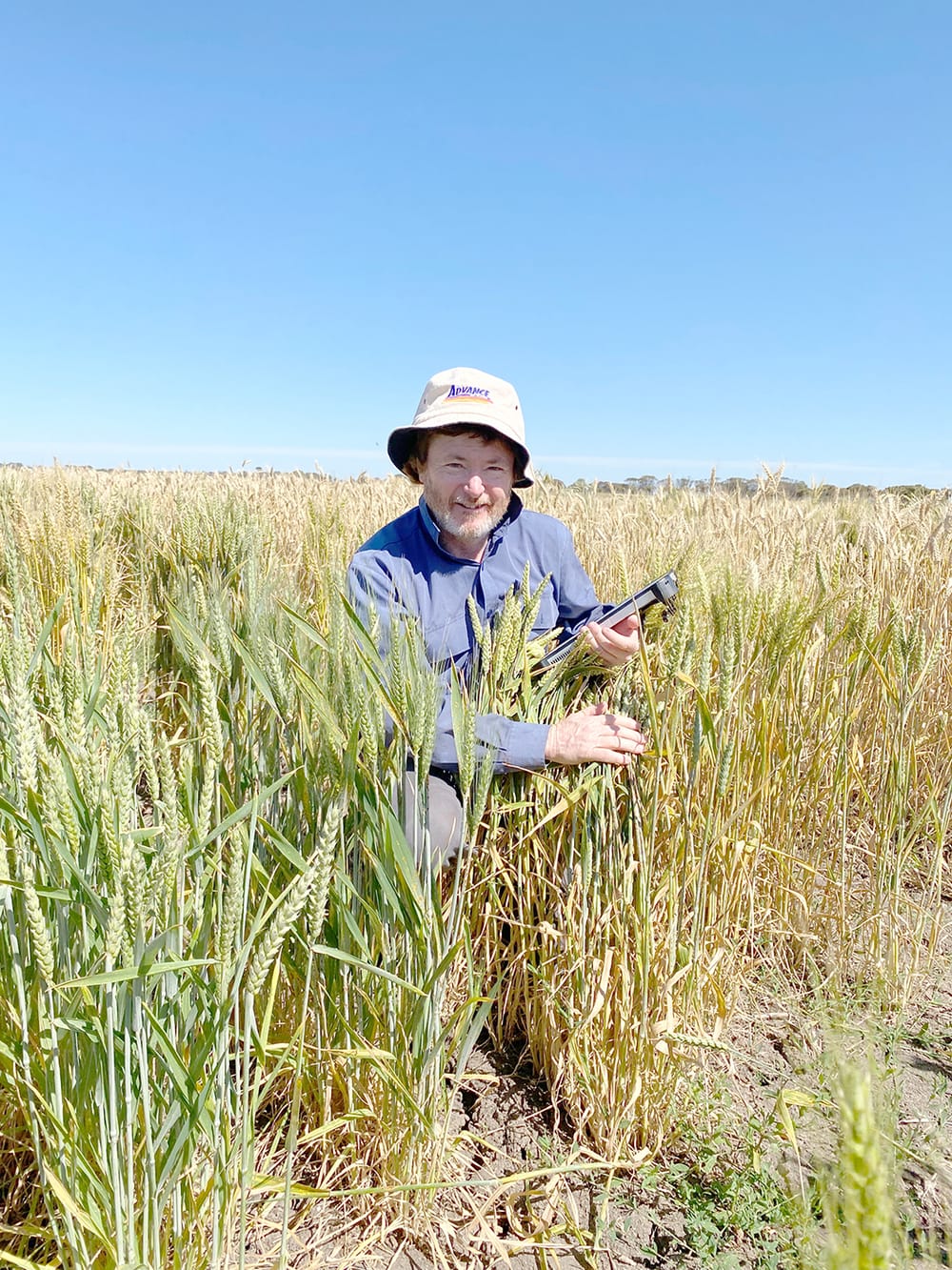 At BCG’s Main Field Day ... Weighing Up Rust Risk post image