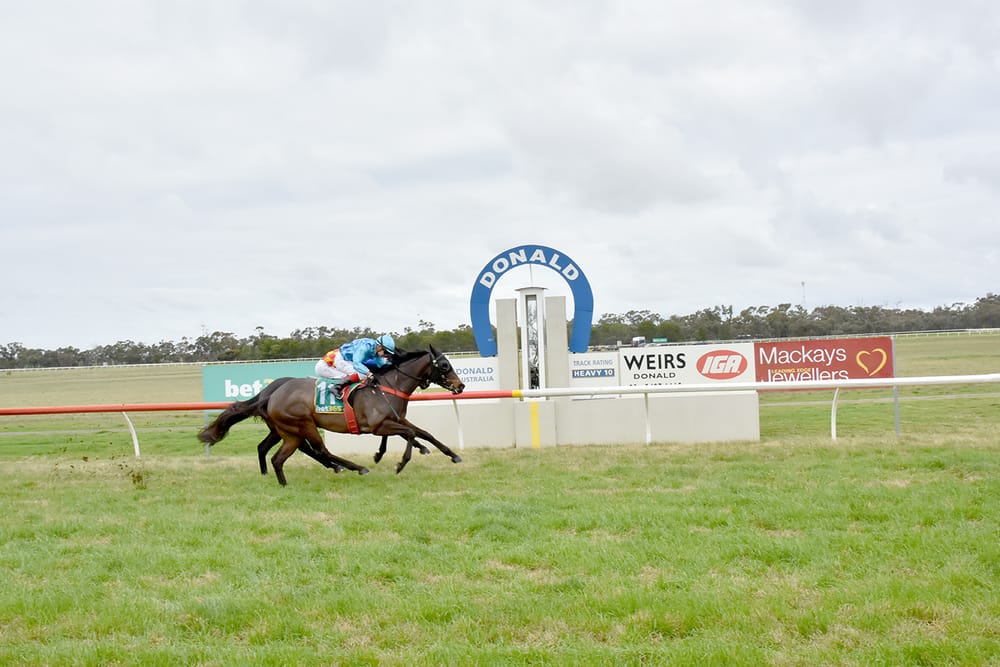 Dayne’s First Day at Donald post image