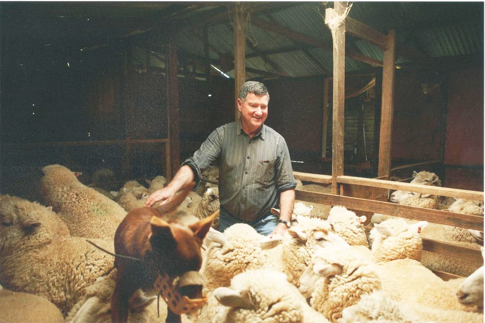 Eddie’s Life of Family, Friends, Farming, and Community Service post image