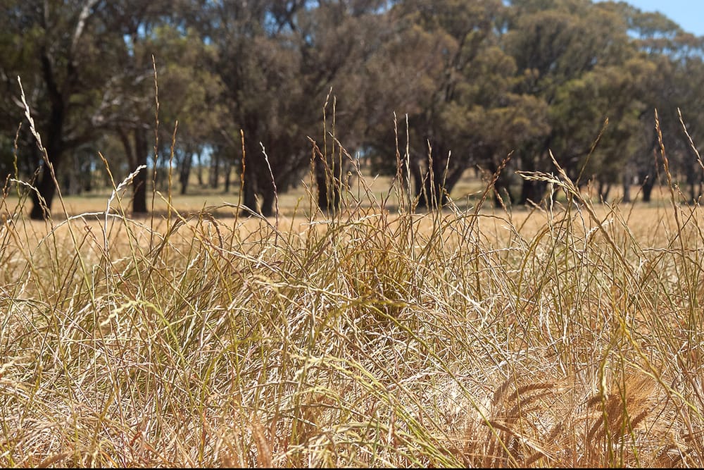 Make the Most of Spring Planning Sessions post image