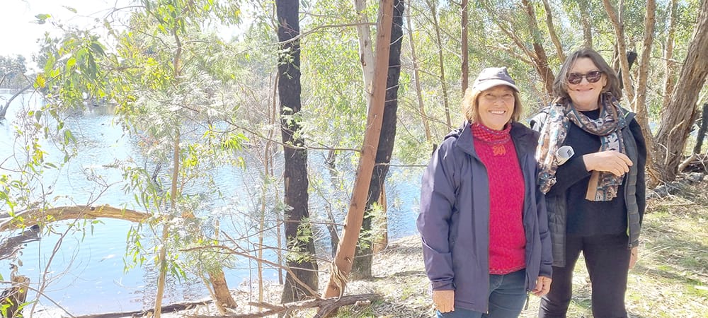 Nature Notes post image