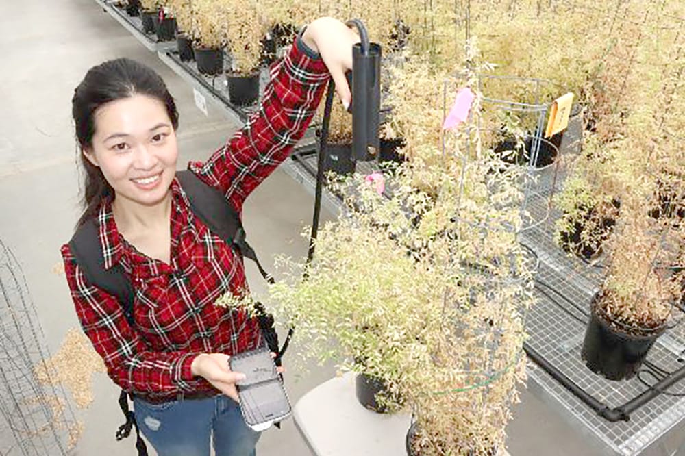 The CropSafe Program Providing Biosecurity Service post image