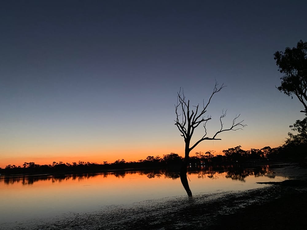 Blue-Green Algae in Wooroonook Lake post image