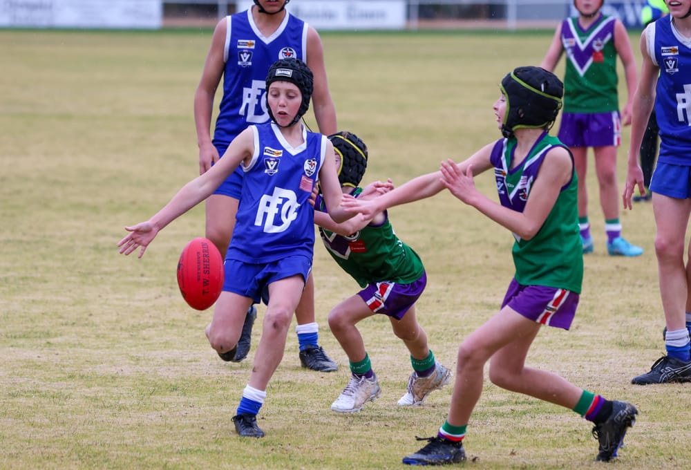 Big Day for Donald Juniors post image