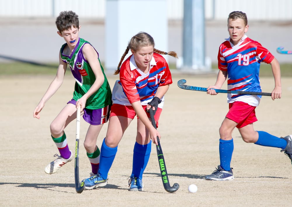 North-Central Hockey post image