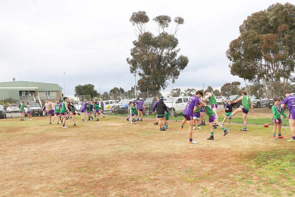 Mentoring Program: Buddies at Birchip post image