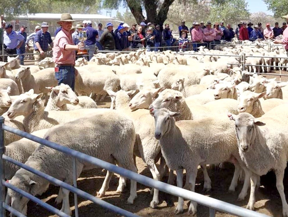 Friday, October 31, 2025 post image