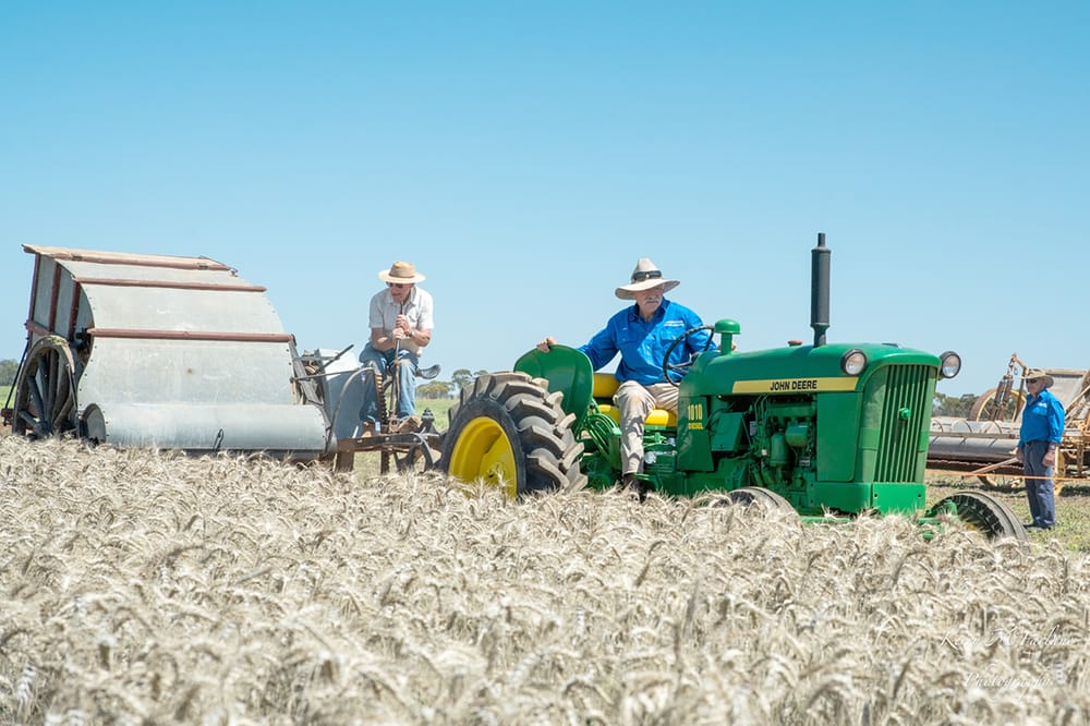 QHWMA’s Harvest Days, January 2026 post image