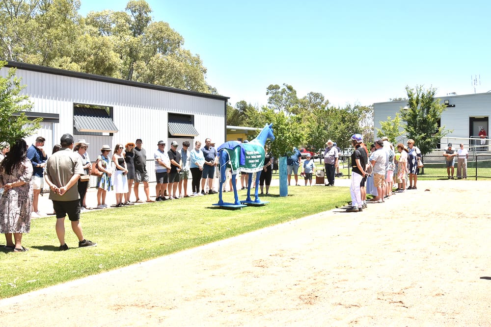 Harness Racing Action post image