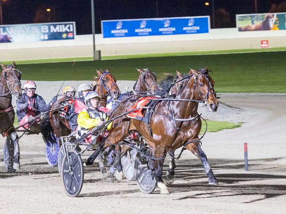 The Bulls are Running at Birchip post image