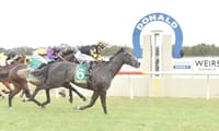 Dark Journey Wins Donald Cup post image