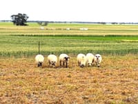 Shining a Spotlight On Stored Water post image