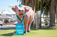 Dig Deep for Team Teal post image