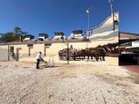 More Murals for Donald post image