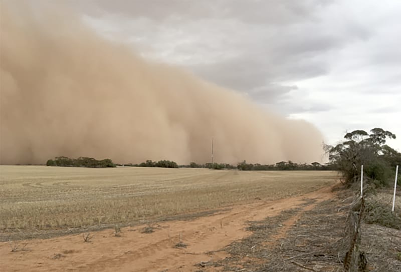 Mallee Wind Erosion Annual Wrap and Webinar post image