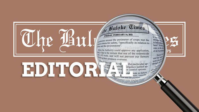 Editorial: Skills Training Critical to Closing National Employment Gap post image