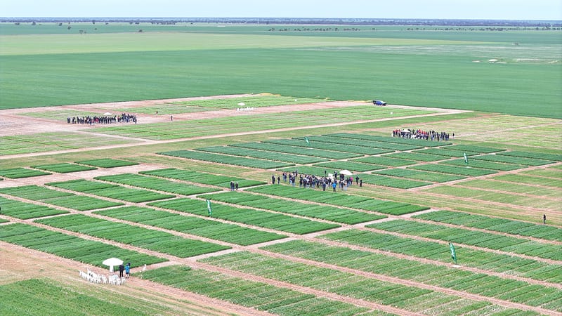 BCG and CSIRO Unite post image