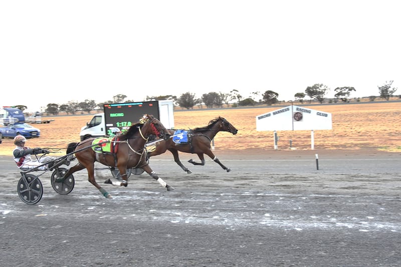 Mallee Bull Cup – Abandoned post image