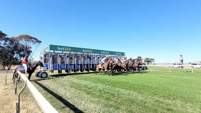 Kokoro Wins Mt. Wycheproof Cup post image
