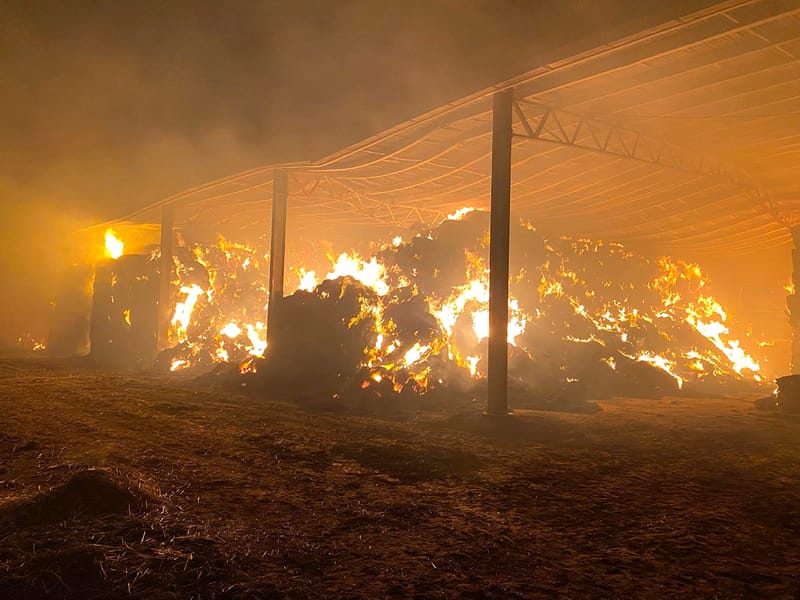 Monitor Damp Haystacks post image