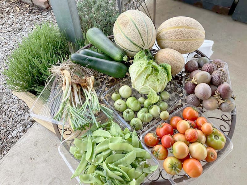 The Last of Summer’s Bounty post image